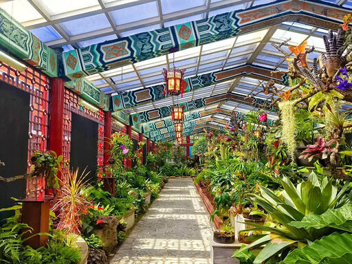 室內森林感爆棚!台北新蘭亭「雨林植物展」免費參觀中!