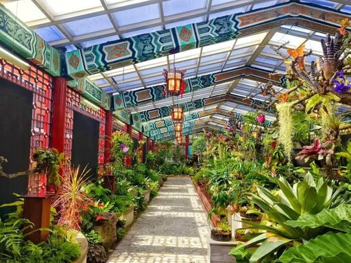 室內森林感爆棚!台北新蘭亭「雨林植物展」免費參觀中!