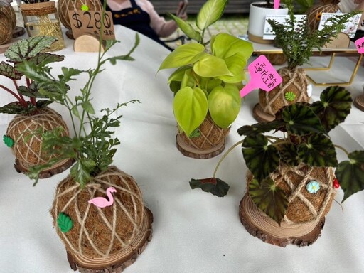 蒔光撒落綠植間!「2025植愈蒔光節」週末限定療癒登場!