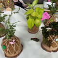 蒔光撒落綠植間！「2025植愈蒔光節」週末限定療癒登場！