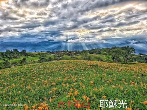 攝影控快衝！花蓮六十石山金針花海x耶穌光完美交織金黃奇景