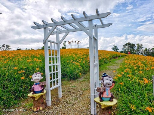 花蓮賞花推薦│赤柯山林家園金針花 燦爛花海免費觀賞！