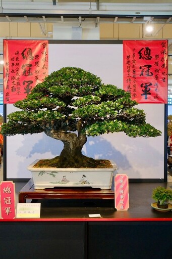 2025屏東樹藝屏光展｜即日起至8/17 102組盆栽藝術展出！