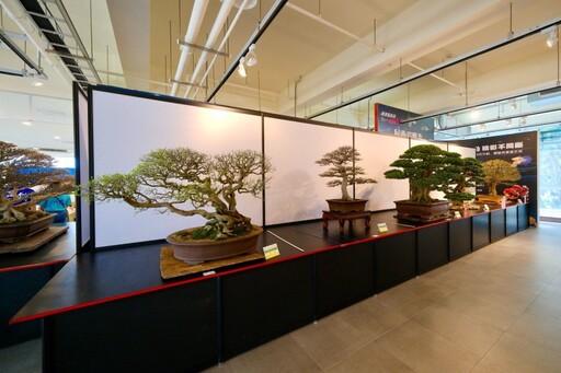 2025屏東樹藝屏光展｜即日起至8/17 102組盆栽藝術展出！