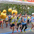 2025桃園半馬盛事！第10屆12月7日開跑 楓紅美景伴你奔馳！