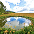 六十石山限定美景！「烏魚山莊」金針花海+夢幻倒影超吸睛！