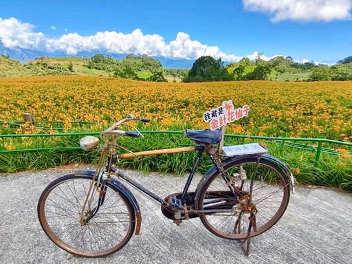 花蓮必訪金針花海|小瑞士農場免費停車&夢幻花海浪漫登場