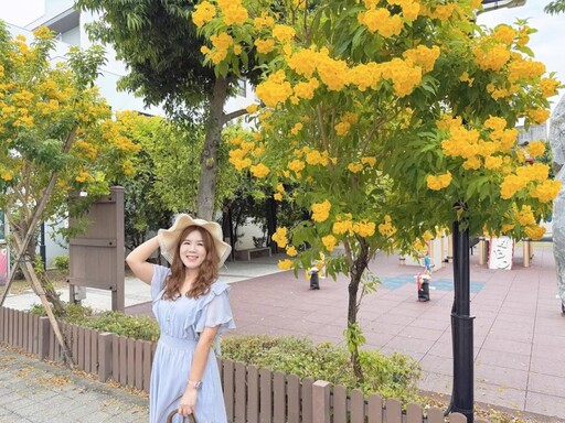 彰化賞花秘境｜黃鐘花迎風盛開 近拍遠拍都能拍出文青感！