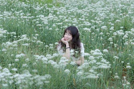 桃園九月雪花海怎麼拍?大溪韭菜花田浪漫攝影指南!