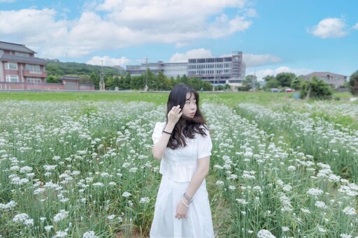 桃園九月雪花海怎麼拍?大溪韭菜花田浪漫攝影指南!