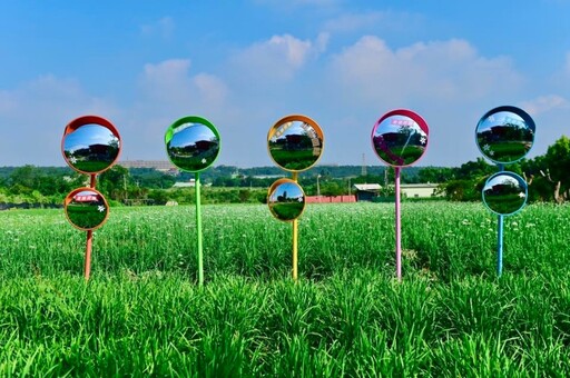 2025桃園大溪韭菜花季！雪白花海盛開 邂逅夢幻鯉魚旗！