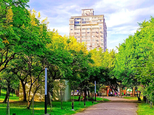 新北中和必訪賞花景點｜欒樹花海與綠意交織浪漫園區！