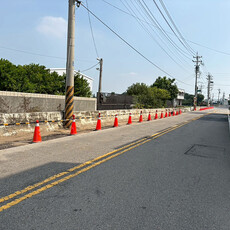 外埔區二崁路沿線改善完成！44株黑板樹移植 路肩重整新風貌