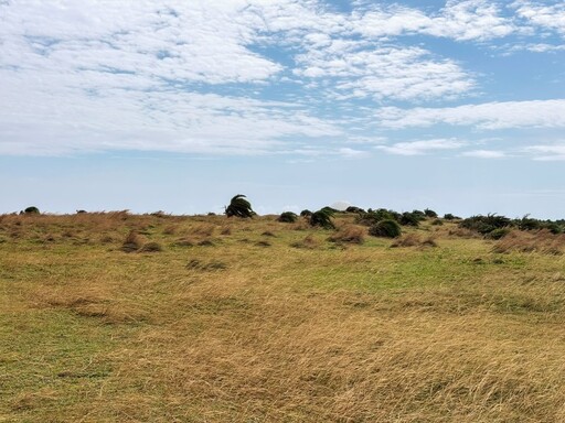 屏東必訪秘境！海岸草原俯瞰太平洋 世界級地景震撼又壯麗！