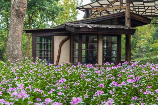 中部版歐洲莊園|藏身山林城堡秘境 一秒走進詩意般中古世紀