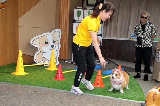 湖光山色+萌寶齊聚!2025虎頭埤戲水節邀你一起到台南放縱