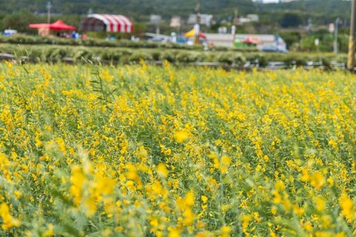 秋冬賞景魅力不減 中部六大夢幻秘境帶你感受季節色調