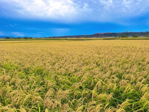 秋冬賞景魅力不減 中部六大夢幻秘境帶你感受季節色調