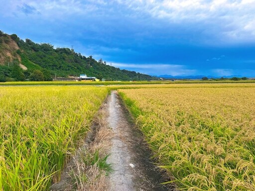 秋冬賞景魅力不減 中部六大夢幻秘境帶你感受季節色調