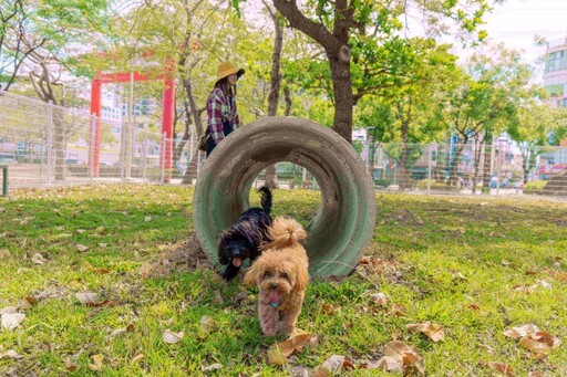 【高雄懶人包】親子×寵物公園總整理 放電、散步一篇收齊！