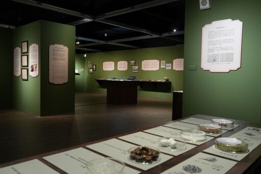 品茶也能品文化!新北坪林「茶食文化特展」重現千年茶宴!