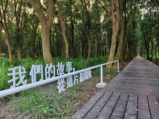 溪州公園大變身!躺網、框景小屋全新亮相 森系美照超夢幻!