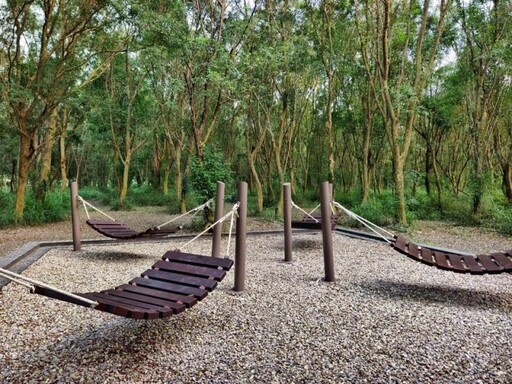 溪州公園大變身!躺網、框景小屋全新亮相 森系美照超夢幻!