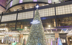 台中絕美耶誕地標！12米雪花耶誕樹超吸睛 燈海銀河浪漫加倍