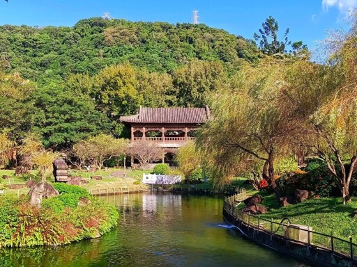 台北文青攝影必訪!士林故宮至善園垂柳 初冬染金人氣暴增!