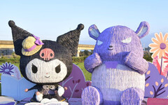 桃園必去冬日花海！楊梅「酷洛米仙草嘉年華」夢幻登場！