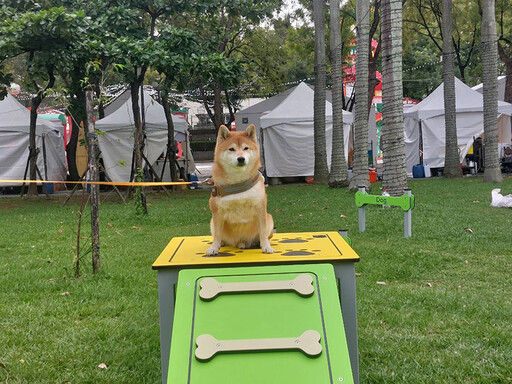 新北寵物友善活動推薦！2025毛寶貝狂想曲樂遊耶誕趴開跑！