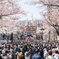 日立櫻花祭與日立風流物展示