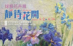 陽明山花卉中心球根花卉展4月2日開展