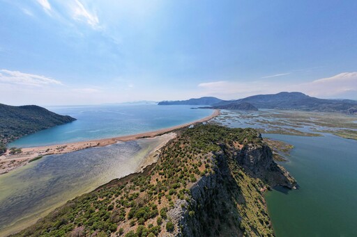 一年一度赤蠵龜產卵季在土耳其里維埃拉海灘展開