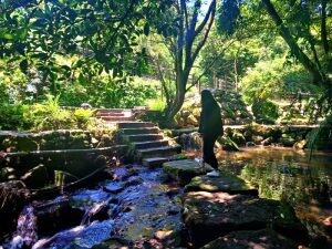 北投湖田社區一日遊 賞花體驗農村生活