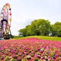 千葉縣「東京德國村」感受德國田園風景