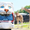 那須野生動物園 近距離觀察野生動物