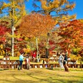 在漫天紅葉下讀本好書 輕井澤「紅葉圖書館」開催