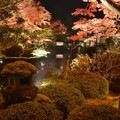 栃木縣秋季夜間點燈 輪王寺逍遙園、掬翠園紅葉點燈