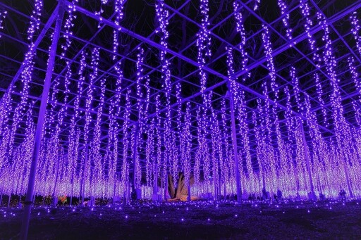 足利花卉公園「光之花庭園」