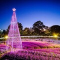 足利花卉公園「光之花庭園」