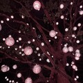 茨城縣「teamLab 幽谷隠田跡」 藝術與自然交融