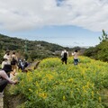 樟樹步道花海起跑活動迎新春