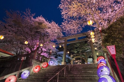 鬼怒川溫泉夜櫻點燈～鬼怒川萬華鄉～