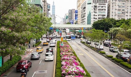 杜鵑花開滿城 賞花最應時