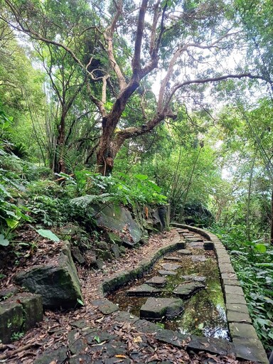 溪山百年古圳散策