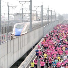 奔向櫻花終點線 2026福井櫻花馬拉松開放海外跑者報名中