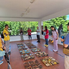 藝術漂進生活！2025福爾摩沙北海岸藝術季九月精彩活動登場