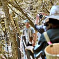 梨山、谷關新玩法!!