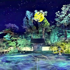 NAKED 松島・國寶瑞巖寺 秋季夜間參拜